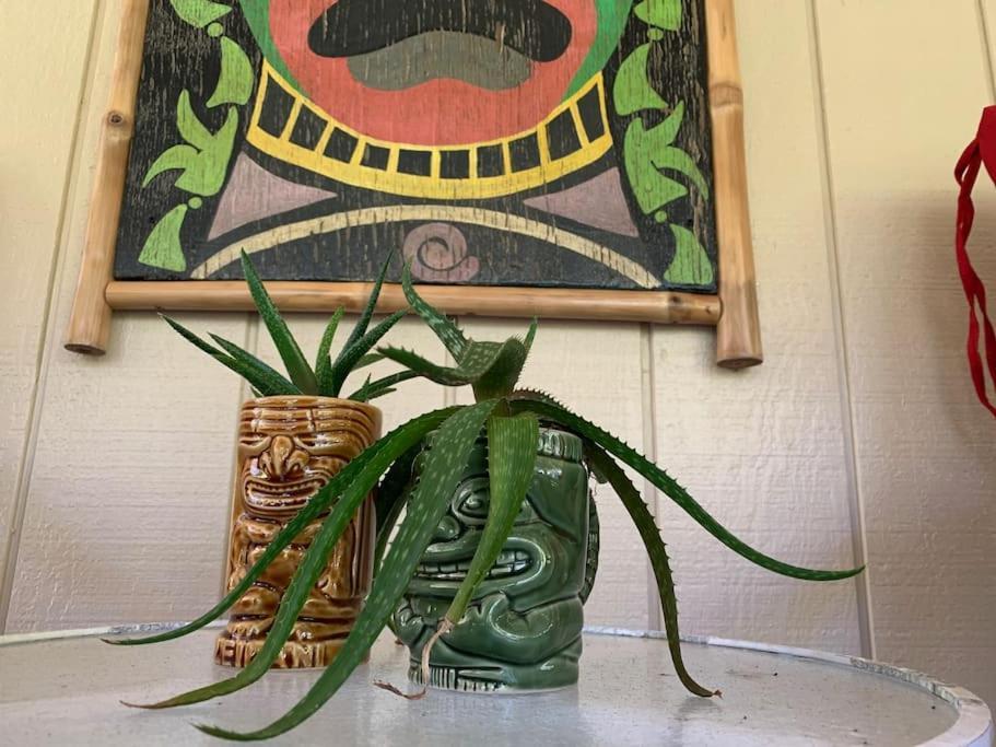 Hau'Oli Place Tiki Cottage In Volcano Bagian luar foto